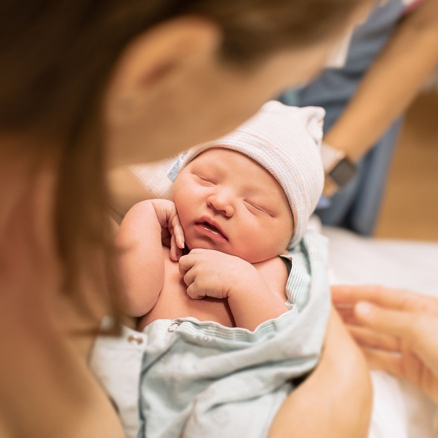 casulleras seguros (2)